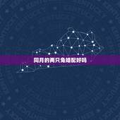 同月的两只兔婚配好吗，女正月兔和男二月兔相配吗