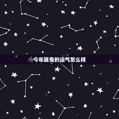今年属兔的运气怎么样，属兔的今年运势怎么样2021
