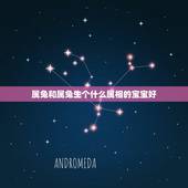 属兔和属兔生个什么属相的宝宝好，属鸡属兔的人生牛宝宝好吗