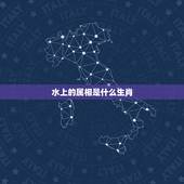 水上的属相是什么生肖，水中生肖是什么肖