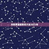 刘姓男宝宝取名大全2022年，2022 年牛男孩姓刘名字
