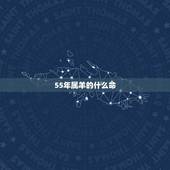 55年属羊的什么命，1967年属羊是什么命