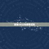 属猪2022年感情运势，属猪的和属猴的在2017年感情运势怎么样