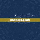 属兔生肖与什么生肖最配，属羊跟什么生肖最配