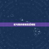蛇与猴的婚姻是否相配，猴和蛇相配婚姻如何