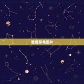 普通草龟图片，中华草龟图片谁有？是不是这样的？