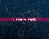 71年猪在2022年的运势，1971年属猪2023年全年运势