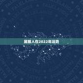 属猴人在2022年运势，属猴人2022年每月运势