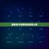 属蛇的今年爱情运势怎么样，属鸡的和属蛇的今年爱情运势