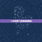 12生肖那个属相螳螂捕蝉，螳螂捕蝉打一生肖