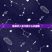 属猪的人宜与属什么的婚配，属猪的和哪些属相相配