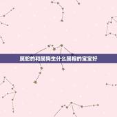 属蛇的和属狗生什么属相的宝宝好，属蛇的爸爸和属狗的妈妈生什么属相的宝宝