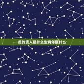 龙的贵人是什么生肖年属什么，属龙人的贵人生肖