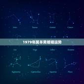 1979年属羊男婚姻运势，1979年属羊女2022 运势