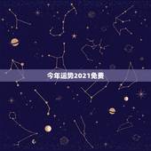 今年运势2021免费，2021十二生肖的全年运势
