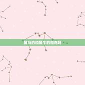 属马的和属牛的相克吗，属牛和属马的相冲吗 详细�0�3