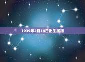 1939年2月14日出生属相，1939年农历2月19日属相？