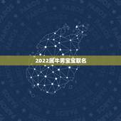 2022属牛男宝宝取名，2022 年属牛男宝宝取名