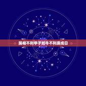 属相不利甲子如牛不利庚戍日，十二生肖的每日属相是什么意思，