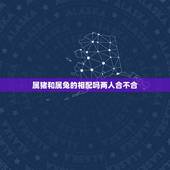 属猪和属兔的相配吗两人合不合，属猪的和属兔的夫妻命运