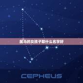 属马的女孩子取什么名字好，姓任属马的女孩起什么名字好