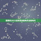属猴的2022运势及运程每月运程每月，80年属猴男2021年运势每月运