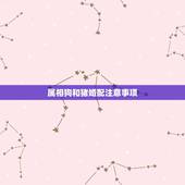 属相狗和猪婚配注意事项，属相狗和猪相配吗？