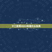 十二生肖2022年是什么生肖，1984年属鼠男2022 年运势每月运势