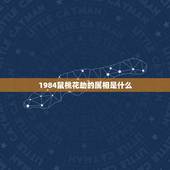 1984鼠桃花劫的属相是什么，1984年属鼠的哪年才是桃花年