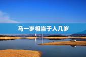 马一岁相当于人几岁，猫两岁相当于人几岁