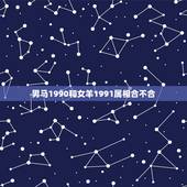 男马1990和女羊1991属相合不合，男1990属马和女1991属羊的