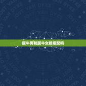 属牛男和属牛女婚姻配吗，属牛的和属牛的相配吗