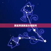 属鼠男跟属鼠女相配吗，1996属鼠2022 年运势及运程