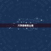 八字命格怎么看，八字算命视频包双龙