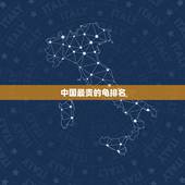 中国最贵的龟排名，中国最贵的龟是怎么排名的？