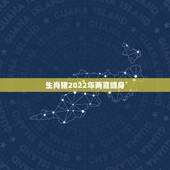 生肖猪2022年两喜缠身 71属猪2022年有一灾