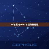 45年属鸡2022年运势及运程，2022年属鸡的魔羯座运势