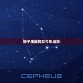 狮子座属狗女今年运势，狮子座女今年运势