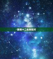 属相十二生肖配对，属龙的与什么属相相配