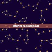 属狗的2022年运势怎么样，70年属狗51岁有血光之灾