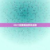 2021年属相运势及运程，2021生肖运势大解析 十二生肖