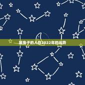 属兔子的人在2022年的运势 属兔人2022年每月运势