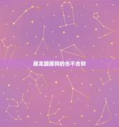 属龙跟属狗的合不合财，属龙和属狗的人财运相冲吗？