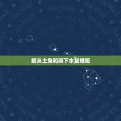 城头土兔和涧下水鼠婚配，兔和鼠相配吗