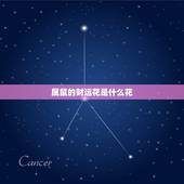 属鼠的财运花是什么花，属鼠的女人戴什么旺财