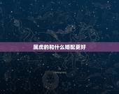 属虎的和什么婚配更好，属虎男的婚配表