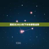 属蛇女2022年下半年感情运势，1989属蛇人在2022年运气