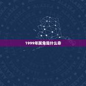 1999年属兔是什么命，1999年是什么命，1999年出生是什么命