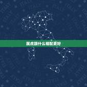属虎跟什么相配更好，属虎和龙配吗