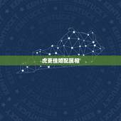 虎更佳婚配属相，虎最怕什么生肖